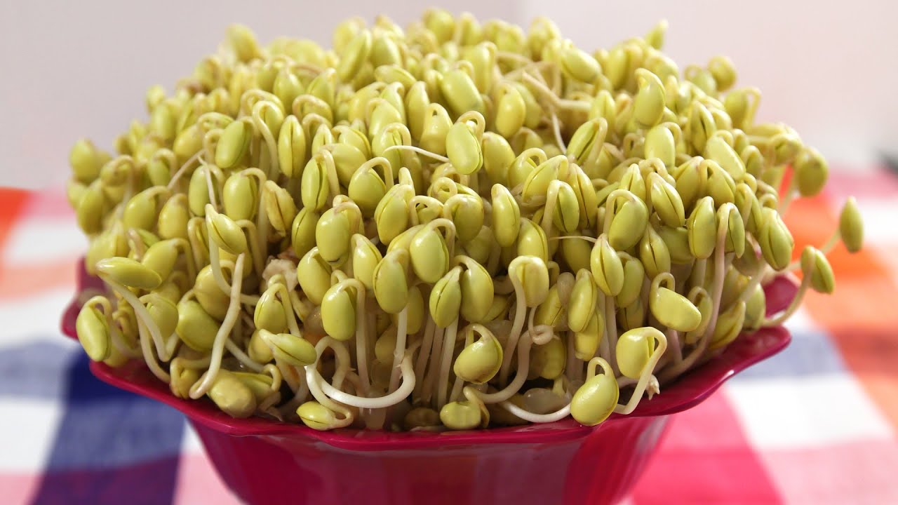 Soybean sprouts (Kongnamul) recipe by Maangchi