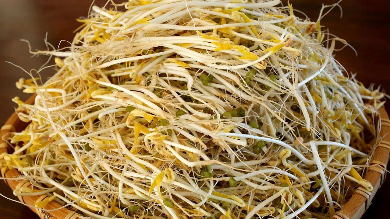 Mung bean sprouts recipe by Maangchi